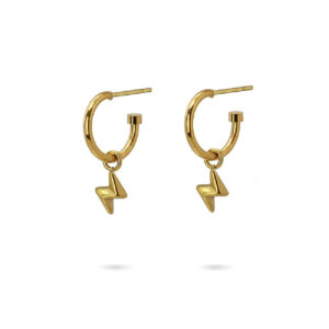 ANARTXY EARRING HOOP WITH NAT.ELEMENTS