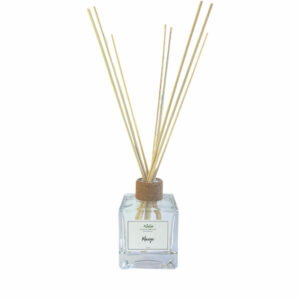 Della bruna mikado mango 100 ml